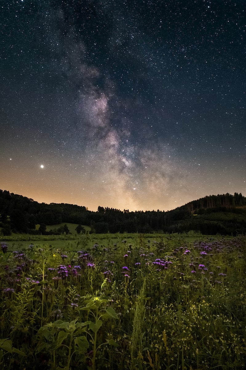 Galactic Tourism